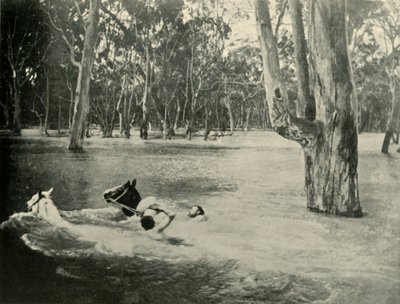 Un banquero, 1901 de Unbekannt