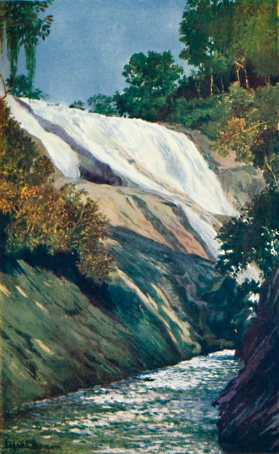 Una cascada en Tijuca, Río, 1914 de Unbekannt