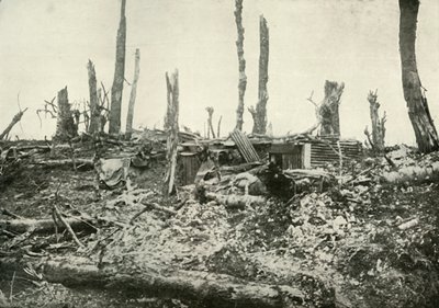 Un refugio en lo que una vez fue un bosque silvano, 1919 de Unbekannt