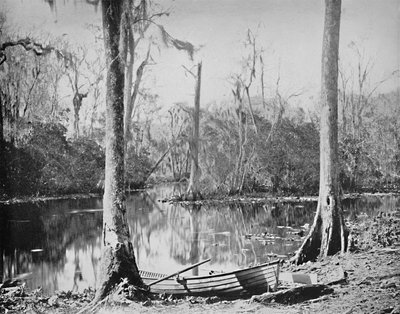 Un afluente del río St. Johns, Florida, c. 1897 de Unbekannt