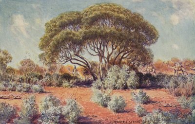 Un lugar fértil en Australia Central, 1923 de Unbekannt