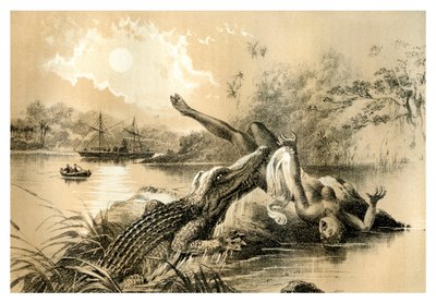 Un incidente espantoso, 1883 de Unbekannt