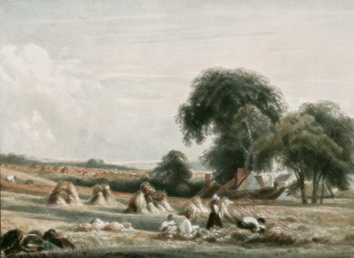 Una escena de cosecha, c. 1900 de Unbekannt