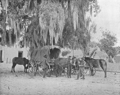 Un Comerciante de San Antonio, Texas, EE.UU., c1900 de Unbekannt