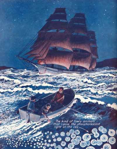 Un mar iluminado por luces nocturnas vivas, 1935 de Unbekannt