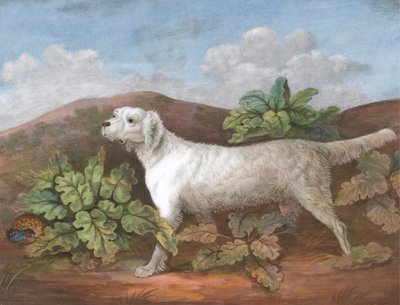 Un setter: mirando a la izquierda, con una perdiz escondida entre bardanas a la izquierda, ca. 1805 de Unbekannt