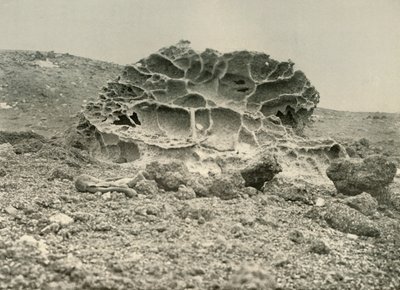 Un canto rodado de kenyte desgastado cerca de los cuarteles de invierno, c. 1908, 1909 de Unbekannt