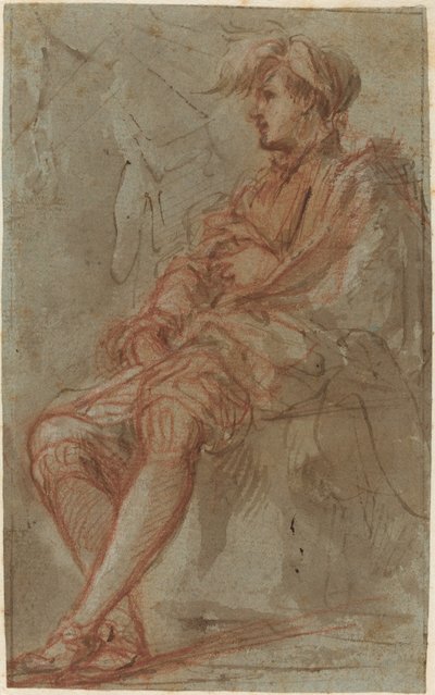 Un joven, siglo XVI de Unbekannt