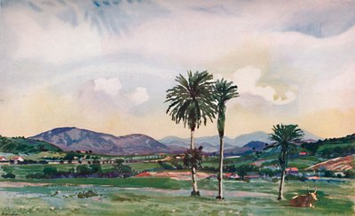 Un poco de los suburbios del noroeste de Rios, a lo largo de la ruta del Ferrocarril Central, 1914 de Unbekannt