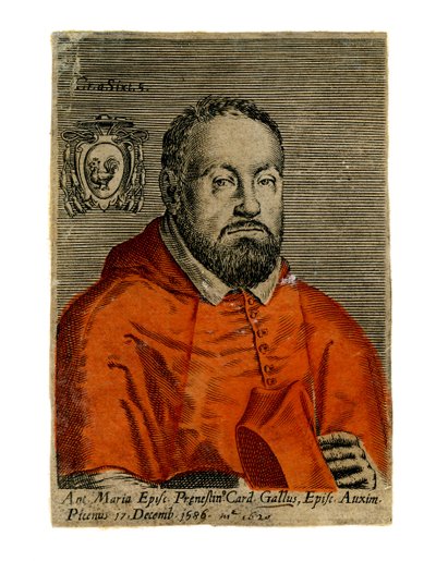 Un cardenal, siglo XVI de Unbekannt