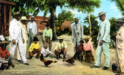 Una pelea de gallos, Puerto Rico de Unbekannt