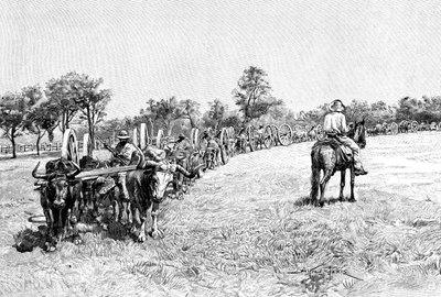 Un convoy de vagones, Sudamérica, 1895 de Unbekannt