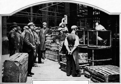 Una esquina del Mercado Leadenhall, Londres, c1901 de Unbekannt
