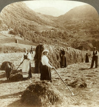 Una familia de agricultores haciendo heno en un campo soleado entre las montañas, Roldal, Noruega de Unbekannt