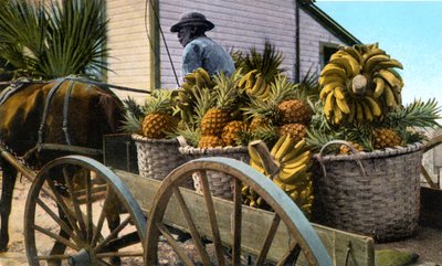 Un comerciante de frutas, Isla Taboga, Panamá, principios del siglo XX de Unbekannt