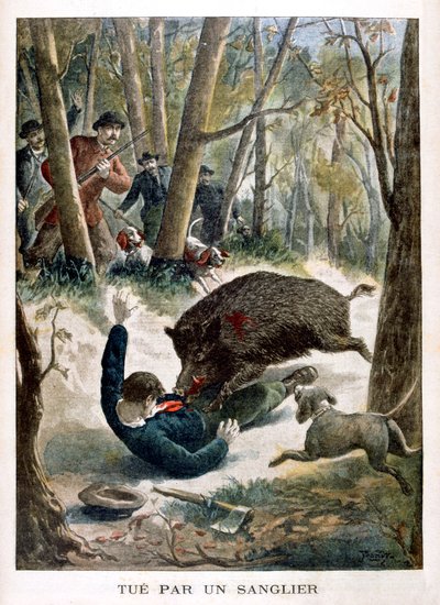 Un cazador asesinado por un jabalí, 1901 de Unbekannt