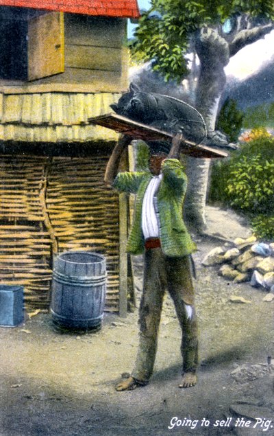 Un hombre camino al mercado para vender un cerdo, Jamaica, c. 1900s de Unbekannt