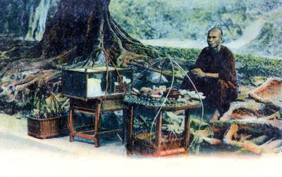 Un hombre vendiendo fruta bajo un árbol, Hong Kong, China, c1900s de Unbekannt