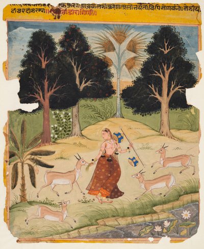 Una página de un Manuscrito Ragamala: Todi Ragini, c. 1625 de Unbekannt