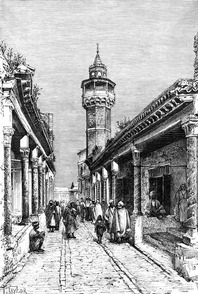 Una calle en el distrito de Suk de Túnez, Túnez, 1895 de Unbekannt