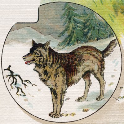 Un lobo en la nieve. Grabado en "ABC El alfabeto de los bebés". Volumen irrompible sobre lienzo en cromolitografía. A. Capendu, editor, París. Principios del siglo XX, alrededor de 1905. Imágenes de origen inglés, acompañadas de palabras en francés corresp de Unbekannt