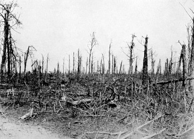 Un bosque en la zona del Somme, Francia, 1916, c. 1920 de Unbekannt