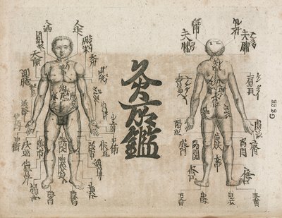 Acupuntura, diagrama del cuerpo humano que indica los puntos de moxibustión (diagrama de moxibustión que muestra dónde se debe evitar el singe) de Unbekannt