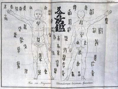 Acupuntura: carta del cuerpo humano indicando los puntos de moxibustión, Japón (Carta relacionada con la moxa, c 1690) de Unbekannt