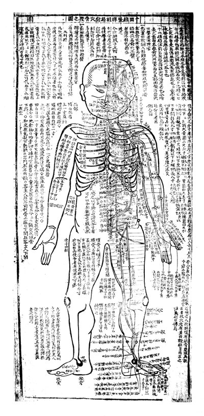 Gráfico de acupuntura para la parte frontal del cuerpo, japonés, siglo XIX de Unbekannt