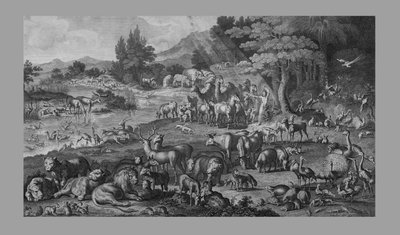 Adán nombrando la creación, 1818 de Unbekannt