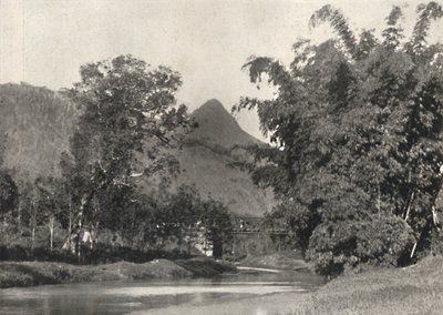 Adamspik von Gegend Maskeliya, 1926 de Unbekannt