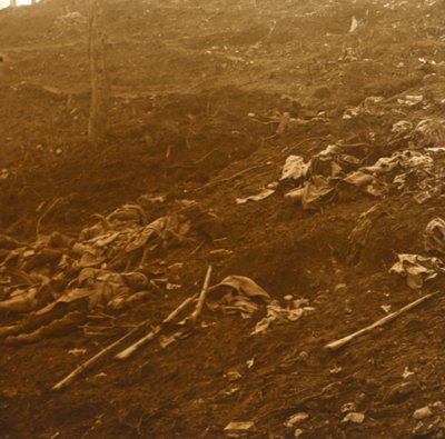 Después del ataque, Les Éparges, norte de Francia, 1915 de Unbekannt