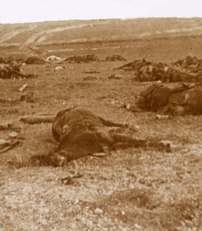 Después de la carga, Beauséjour, norte de Francia, c1914-c1918 de Unbekannt