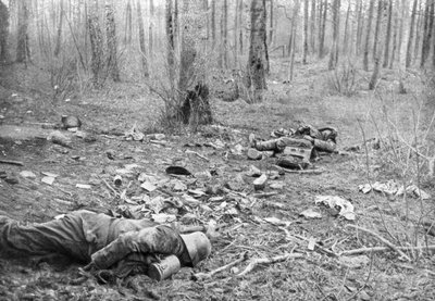 Secuelas de la lucha en el parque de Plessis-de-Roye, Picardía, Francia, 30 de marzo de 1918 de Unbekannt