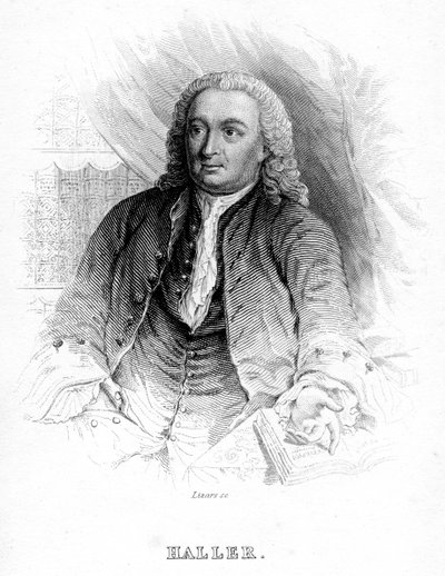 Albrecht von Haller, médico y científico suizo del siglo XVIII, c1840 de Unbekannt