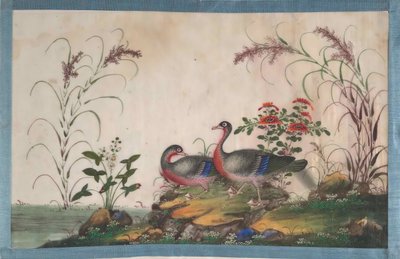 Álbum que contiene doce pinturas de aves, siglo XIX de Unbekannt