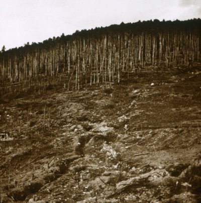 Alsacia, c1914-c1918 de Unbekannt