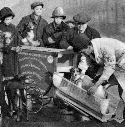Ambulancia del Dispensario para Animales Enfermos de los Pobres, Londres, 1926-1927 de Unbekannt