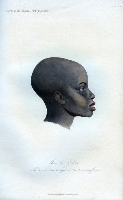 Amochi Galla, un retrato de un Galla, 1848 de Unbekannt