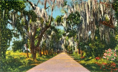 Una escena atractiva en la carretera en las Carolinas, 1942 de Unbekannt