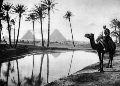 Un oasis cerca de El Cairo, Egipto, c1920s de Unbekannt