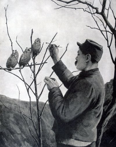 Una decoración original de trinchera, Francia, Primera Guerra Mundial, 1915 de Unbekannt