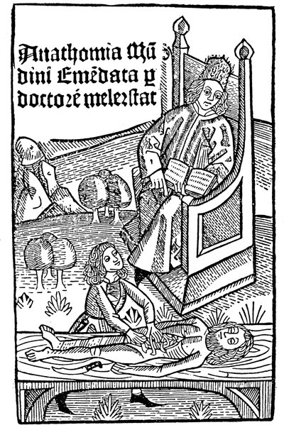 Demostración de anatomía, 1493 de Unbekannt