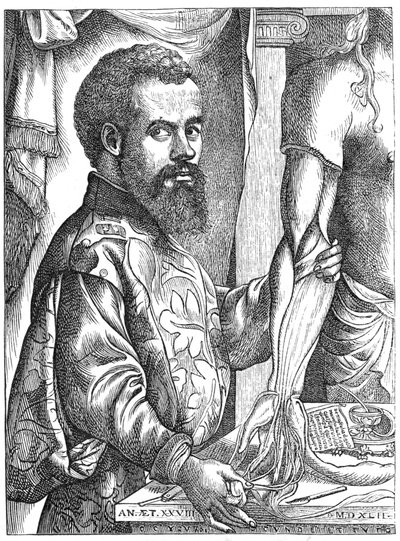 Andreas Vesalius, anatomista flamenco del siglo XVI de Unbekannt