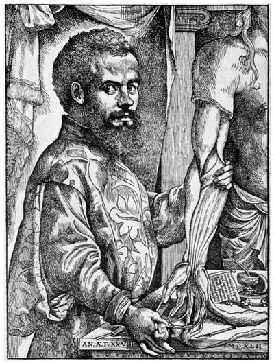 Andreas Vesalius, anatomista flamenco del siglo XVI, 1954 de Unbekannt
