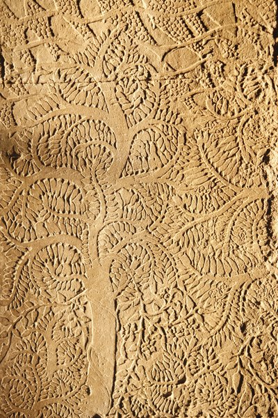 Angkor Wat, detalle tallado en la pared, árbol, Siem Reap, Camboya de Unbekannt