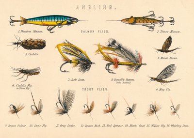 Pesca, siglo XX de Unbekannt