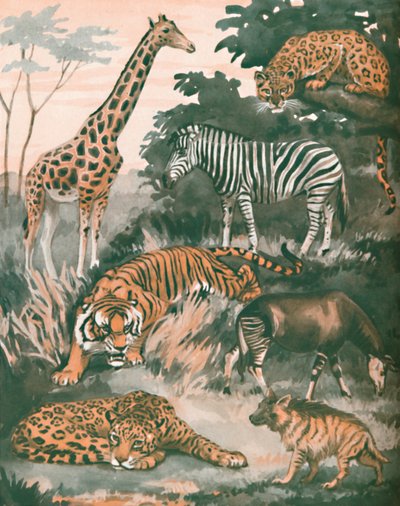 Animales ayudados por manchas y rayas, 1935 de Unbekannt