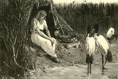 Anysis oculto en los pantanos del delta, 1890 de Unbekannt