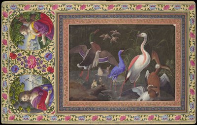 Aves acuáticas en un estanque, folio del álbum Davis, siglo XVIII de Unbekannt